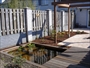 Vijver, vijverplanten, vijverplanten Eindhoven, pergola, pergola Eindhoven